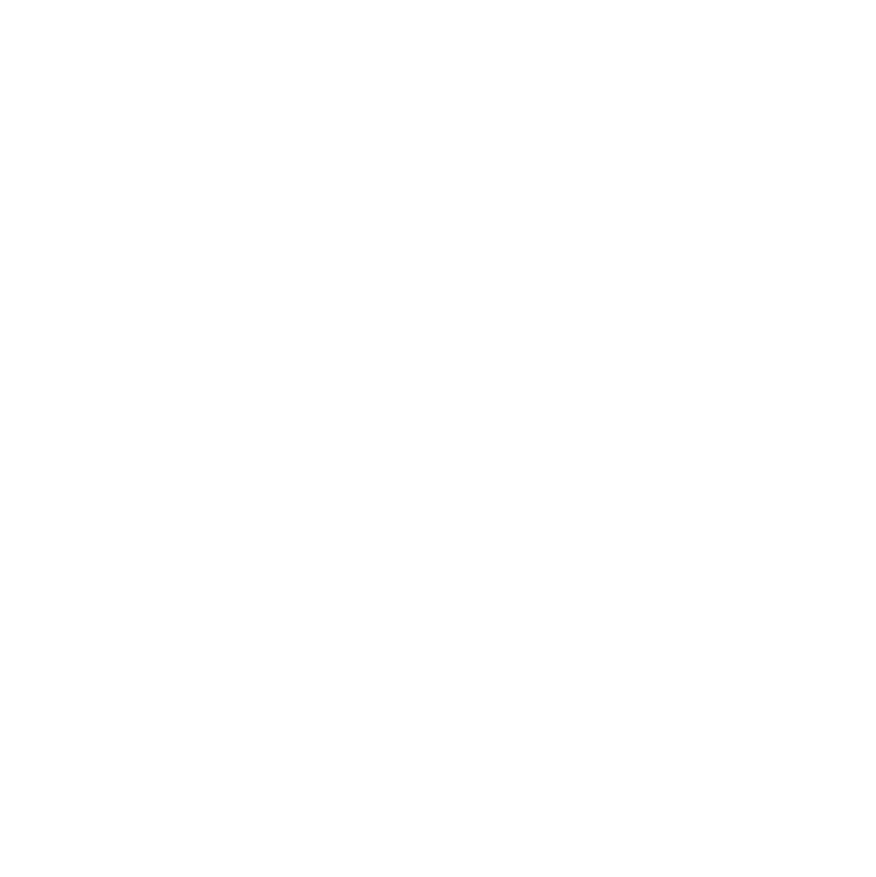 logo Bouvier Millot